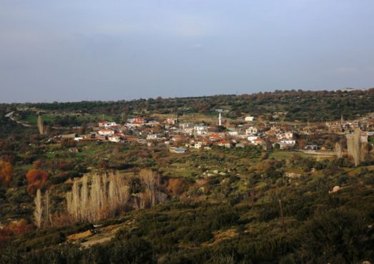 Alemşah